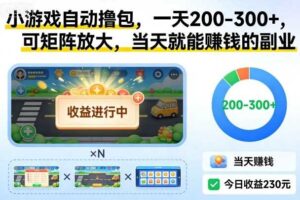 小游戏自动撸包，一天200-300+，可矩阵放大，当天就能賺钱的副业【揭秘】-麦资源网