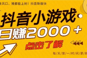 （16831期）25年爆火的抖音小游戏项目，一部手机日入2000➕-麦资源网