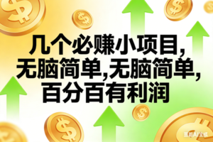 （16988期）10个必赚小项目，无脑简单，百分百有利润，副业首选，日入200+-麦资源网