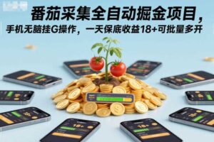 番茄采集全自动掘金项目，手机无脑挂G操作，一天保底收益18+可批量多开【揭秘】-麦资源网