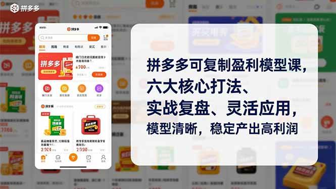 图片[1]-（16952期）拼多多可复制盈利模型课，六大核心打法、实战复盘、灵活应用，模型清晰，稳定产出高利润