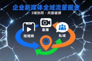 短视频全域商业模式，企业新媒体全域流量掘金，3域协同，共振破屏，短视频-直播-私域-地域-麦资源网