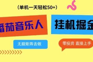 番茄音乐人挂G项目，多窗口去跑一天完稳定50+，零投资，简单无脑【揭秘】-麦资源网