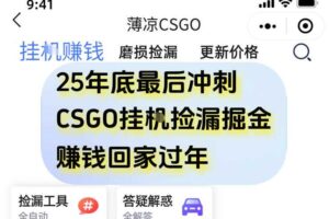 12月年底抓紧最后一个月，用CSGO游戏挂G捡漏掘金賺钱掘金，一部手机轻松日入5张+【揭秘】-麦资源网