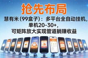（16757期）【抢先布局】慧有米（99盒子）：多平台全自动挂机，单机20-30+，可矩阵放大实现管道躺赚收益-麦资源网