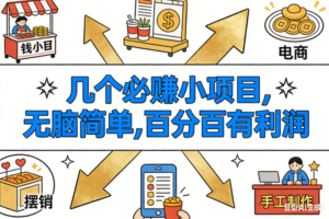 （16956期）9个必赚小项目，无脑简单，百分百有利润，副业首选，日入200+-麦资源网