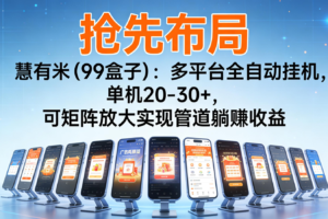抢先布局慧有米（99盒子）：多平台全自动挂机，单机20-30+，可矩阵实现管道躺赚-麦资源网
