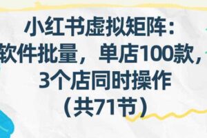 小红书虚拟矩阵：软件批量发笔记，单店100款，3个店同时操作（共71节）-麦资源网