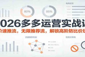 2026多多运营实战课：出价速推流，无限推荐流，解锁高阶防比价玩法（更新）-麦资源网