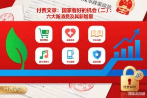 付费文章:国家看好的机会(二):六大新消费及其新增量-麦资源网