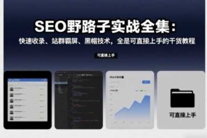 SEO野路子实战全集：快速收录、站群霸屏、黑帽技术，全是可直接上手的干货教程-麦资源网