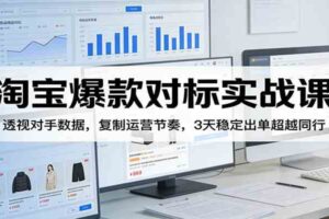 淘宝爆款对标实战课：透视对手数据，复制运营节奏，3天稳定出单超越同行-麦资源网
