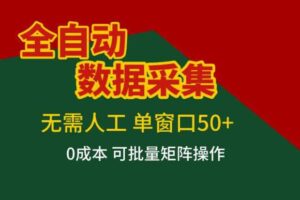 全自动数据采集,无需人工,单窗口50+,0成本可批量矩阵操作【揭秘】-麦资源网