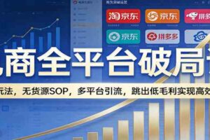 电商全平台破局课：全域玩法，无货源SOP，多平台引流，跳出低毛利实现高效盈利-麦资源网