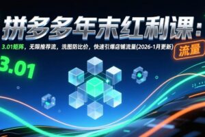 （17100期）拼多多年末红利课：3.01矩阵，无限推荐流，洗图防比价，快速引爆店铺流量(2026-1月更新)-麦资源网
