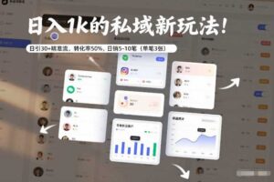 日入1k的私域新玩法：日引30+精准流，转化率50%，日销5-10笔（单笔3张）-麦资源网
