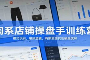 淘系店铺操盘手训练营：模式识别，爆款逻辑，有限资源找店铺最优解-麦资源网