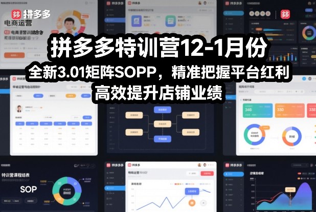 拼多多特训营12-1月份，全新3.01矩阵Sop，*把握平台红利，*提升店铺业绩