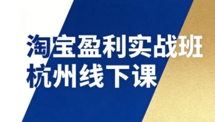 淘宝盈利实战班杭州线下课12月26-28日（音频+字幕），帮你掌握SOP流程+12门*技术
