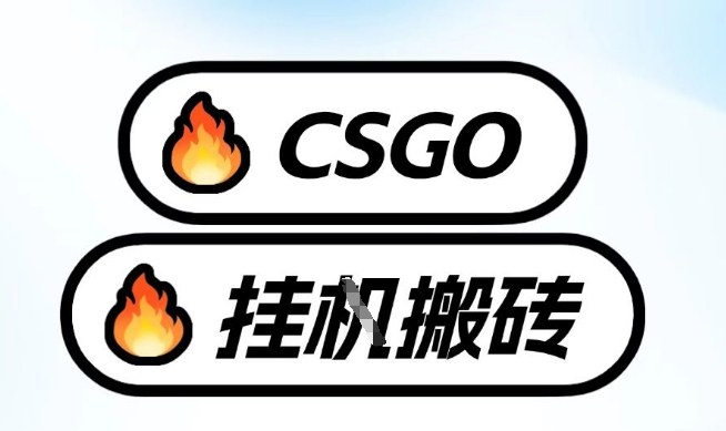 真**CSGO挂G，*玩法,单日捡漏1K+，不用电脑，不用打游戏【揭秘】
