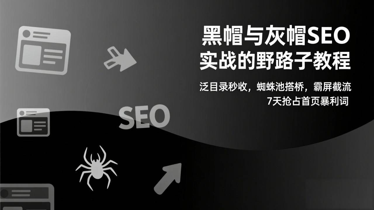 图片[1]-（17125期）黑帽与灰帽SEO实战的野路子教程：泛目录秒收，蜘蛛池搭桥，霸屏截流，7天抢占首页暴利词