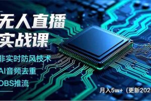 （17267期）无人直播实战课，非实时防风技术、AI音频去重、OBS推流，建立技术壁垒，月入5w+（更新2026）-麦资源网