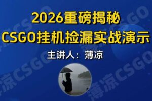 CSGO游戏挂机游戏搬砖最新升级，普通小白一部手机可日入300+当天见结果，支持验证-麦资源网