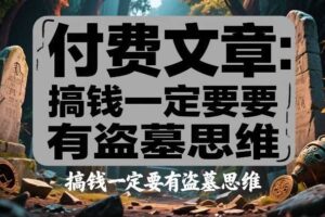 付费文章：搞钱一定要有盗墓思维-麦资源网