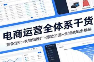 电商运营全体系干货，竞争定价+关键词推广+爆款打造+全域战略全拆解-麦资源网