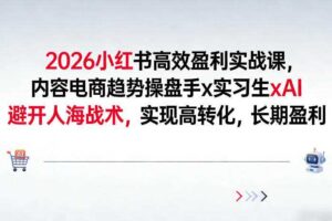 2026小红书高效盈利实战课，内容电商趋势操盘手x实习生xAI，避开人海战术，实现高转化，长期盈利-麦资源网