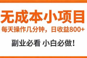 （17307期）无成本小项目 每天操作几分钟，真实日收益800+ 副业必看 小白必做！-麦资源网