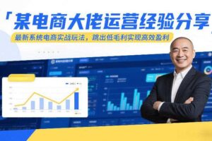 某电商大佬运营经验分享，最新系统电商实战玩法，跳出低毛利实现高效盈利（更新）-麦资源网