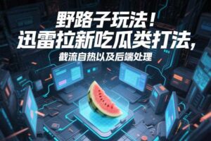 野路子玩法！迅雷拉新吃瓜类打法，截流自热以及后端处理-麦资源网