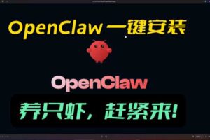 openclaw安装教程和资料，10分钟搞定，一切，让你轻松拥有龙虾-麦资源网