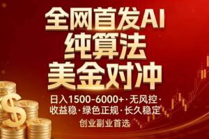 （17506期）全网首发项目！AI美金算法对冲，日入2000-6000+，稳定长效0风险，彻底告别996，创业、副业逆…-麦资源网