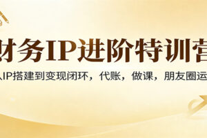 财务IP进阶特训营：从IP搭建到变现闭环，代账，做课，朋友圈运营-麦资源网