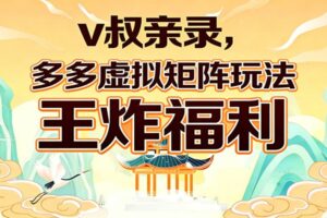 v叔亲录，多多虚拟矩阵玩法，王炸福利限时领取-麦资源网
