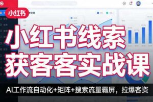 小红书线索获客实战课，AI工作流自动化+矩阵+搜索流量霸屏，拉爆客资-麦资源网