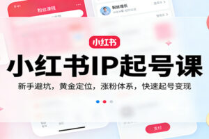 小红书IP起号课：新手避坑，黄金定位，涨粉体系，快速起号变现-麦资源网