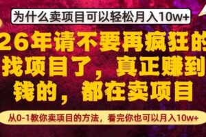为什么真正賺到钱的都在卖项目，从0-1教你卖项目的方法，看完你也可以月入10w+【揭秘】-麦资源网