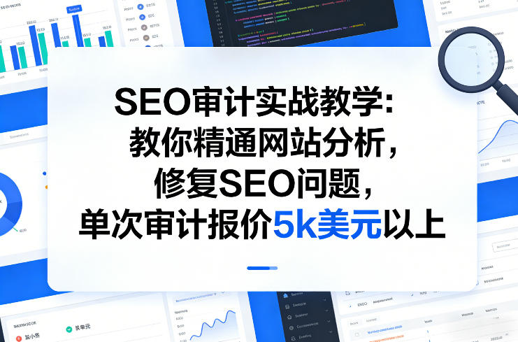 SEO审计实战教学：教你精通网站分析，*SEO问题，单次审计报价5k美元以上