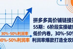 （17698期）拼多多高价铺链接第55期：6阶段实操破解低价内卷，30%-50%利润率爆款打造全攻略-麦资源网