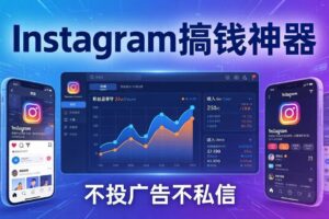 (17731期)Instagram搞钱神器:月涨6万粉+月入5万刀,不投广告不私信,靠算法+低价产品-麦资源网