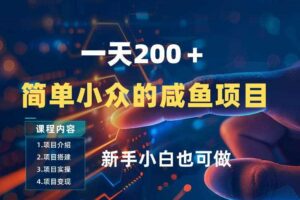 一天收入2张，一个简单小众的咸鱼项目，0门槛小白也能做-麦资源网