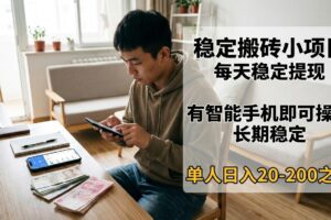 稳定搬砖小项目，每天稳定提现，有智能手机即可操作-麦资源网