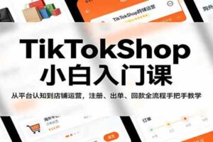 TikTokShop小白入门课：从平台认知到店铺运营，注册、出单、回款全流程手把手教学-麦资源网