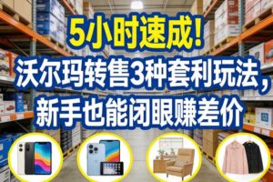 5小时速成！沃尔玛转售3种套利玩法，新手也能闭眼賺差价-麦资源网