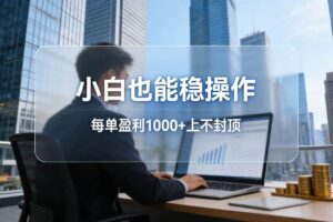 （17508期）2026新项目，小白也能稳操作，每单盈利1000+上不封顶-麦资源网