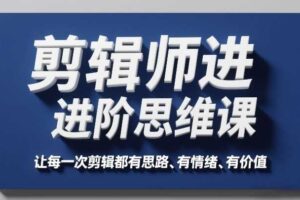 剪辑师进阶思维课，让每一次剪辑都有思路、有情绪、有价值-麦资源网