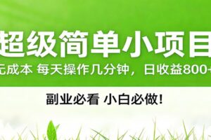 番茄小说邪修玩法，日赚500+稿费，全网独家番茄邪修玩法-麦资源网